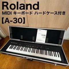2025年最新】roland ハードケースの人気アイテム - メルカリ
