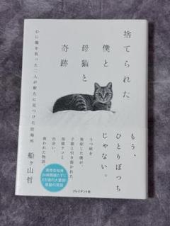 【72】捨てられた僕と母猫と奇跡 : 心に傷を負った二人が新たに見つけた居場所