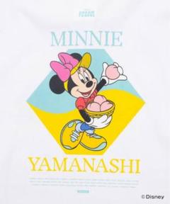 47都道府県ご当地ディズニーTシャツ(抽選限定販売) 山梨　YAMANASHI