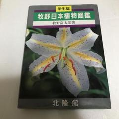 レア雑誌　2003年　NO！　エヌオー　ストリートスナップ　福岡　ファッション レア雑誌 2003年 NO！ エヌオー ストリートスナップ 福岡