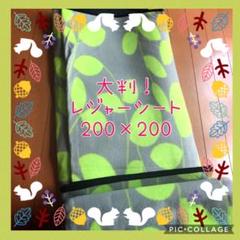 【新品未使用】⭐️スゴイ便利!大判!⭐️200×200 レジャーシート⭐️行楽お花見に