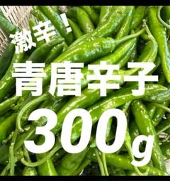 ⭐︎韓国青唐辛子⭐︎激辛チョンヤンコチュ⭐︎5キロ⭐︎農家直送 楽天市場】【クール便】激辛 青唐辛子 / チョンヤンコチュ(500g