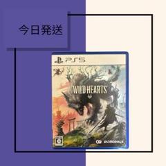 本日発送　PS5 WILD HEARTS