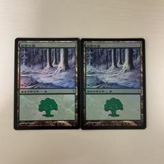 冠雪の森Foil　コールドスナップ 155)《冠雪の森/Snow-Covered Forest》[CSP] 土地L | 日本最大級