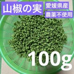 2025年最新】山椒の実（100g)の人気アイテム - メルカリ
