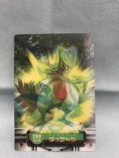 値下げ中:23000→19500円 ポケモン図鑑カード キモリ3D EVO進化