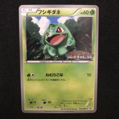 フシギダネ　ジムチャレンジ　プロモ　二枚セット　ポケモンカード フシギダネ ジムチャレンジ プロモ 二枚セット ポケモンカード