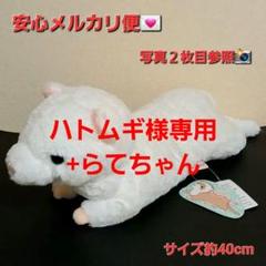 値下げ中★くったりぬいぐるみ 5個 楽天市場】リラックマ くったりぬいぐるみ S みんなでまんぷく