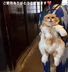 2025年最新】リアル猫リュックの人気アイテム - メルカリ