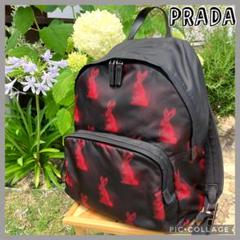 ✨極美品✨希少✨ PRADA プラダ リュックサック うさぎ ブラック