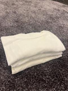TATRAS ホワイト Tシャツ 3枚セット