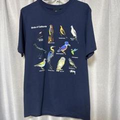 完売品★stussy California BIRDS tee S Stussy California Birds T-Shirt White | END. (AR)