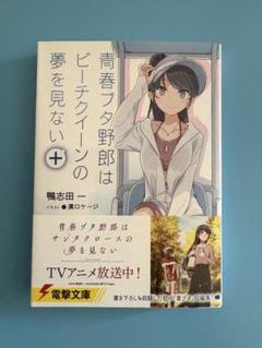 青豚、1次創作品、Bunny Girl Senpai イラスト集 セット コミケ 青豚、1次創作品、Bunny Girl Senpai イラスト集 セット コミケ
