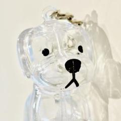 犬の毛　キーホルダー　犬毛　うちの子のけだまだま　遺毛① 画像現品を発送します。のサムネイル