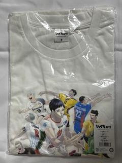 ハイキュー　Vリーグコラボ Tシャツ(Bチーム)