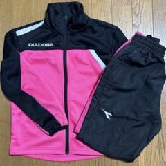 楽天市場】ディアドラ レディース 上下の通販