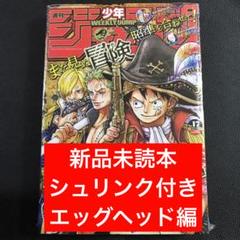 ONE PIECE17巻初版シュリンク未開封ワンピース 8170fU8firL.jpg