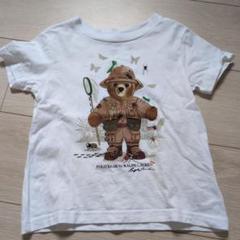 ポロベア Tシャツ ホワイト