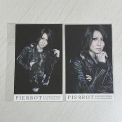 2025年最新】PIERROT アイジの人気アイテム - メルカリ