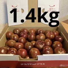 鹿児島県産いぐり（すもも）1.4kg - メルカリ