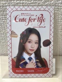 高嶺のなでしこ 葉月紗蘭 さあちゃん アクスタ ミニフォト 缶バッジ まとめ売り 高嶺のなでしこ 葉月紗蘭 さあちゃん アクスタ ミニフォト 缶