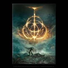 Amazon.com: Displate Elden Ring Metal Poster Magnetic