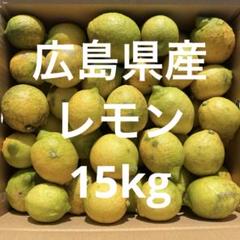レモン 15kg 広島県産 農薬不使用のサムネイル