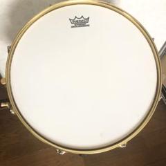 pearl custom classic MAPLE SHELL
