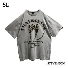 STEVENSONスティーブンソンTシャツタイキックプリントオーバーサイズ古着
