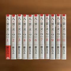 八雲立つ　愛蔵版　全11巻