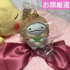 さがみ湖　イルミリオン　ぶらさげぬいぐるみ　とかげ　とんかつ　えびふらいのしっぽ すみっこぐらし さがみ湖イルミリオン とかげ(こげぱん