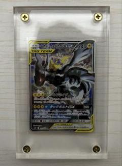 ピカチュウ&ゼクロムGX SA ポケモンカード