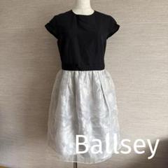 Ballsey tomorrow land ワンピース