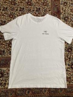 Tシャツ アークテリクス M