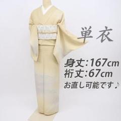 単衣 正絹 着物 スリムサイズ“レトロな色付きで羽ばたく蘭”訪問