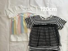 西松屋 チュール付きTシャツ 半袖 120cm