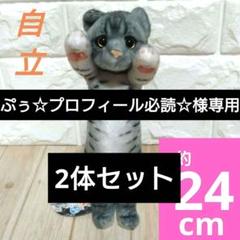 2025年最新】たっちいzoo にゃんこの人気アイテム - メルカリ