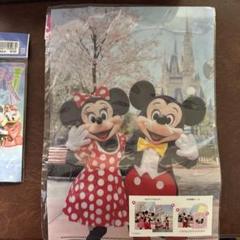 東京ディズニーリゾート ミッキー＆ミニークリアファイルセット
