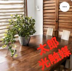 光触媒　人工観葉植物　ウォールグリーン　フェイクグリーン　ベンジャミンバロックＫのサムネイル