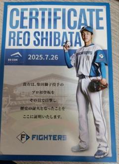 専用。大谷翔平 日本ハムファイターズ　フィールドシート他7枚　チケット 2025年最新】日ハム チケット 7月の人気アイテム - メルカリ