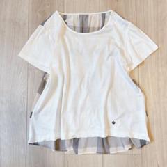 ブルーレーベルクレストブリッジ 切り替え カットソー Tシャツ
