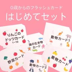 0歳からのフラッシュカード はじめてセット 単語カード ものカード
