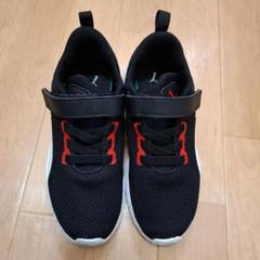 Puma キッズスニーカー １９センチ
