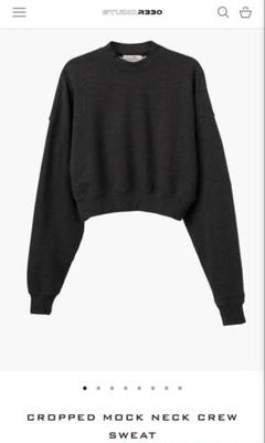 人気アイテムランキング(新品)  値下げ！【STUDIO.R330(ローラ)】クロップドスウェット トップス