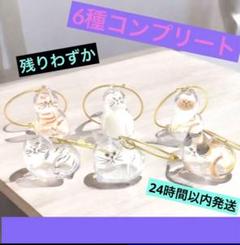 うちの子のけだまだま 茶トラ ノーマル 三毛猫 シャム猫 ハチワレ サバトラ