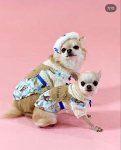 CandyBuppie-dog 犬服 商品 – Candy Buppie Online