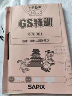 2025年最新】GS受験の人気アイテム - メルカリ