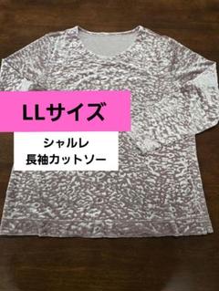 シャルレ - シャルレ ロイヤルカットソー　L Lサイズ シャルレ - シャルレ ロイヤルカットソー Lの通販 by アラジン