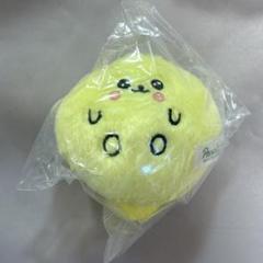 チェゴシム まるゴシム ぬいぐるみ