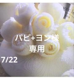パピ+ヨン様　専用